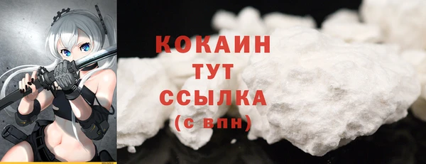 дурь Арсеньев