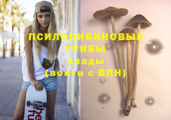 дурь Арсеньев